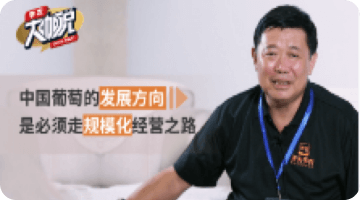 中国普通的发展方向 是必须走规模化经营之路